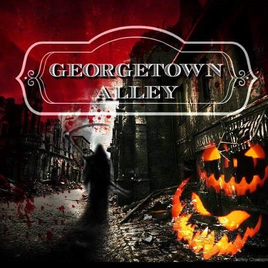 Georgetown Alley - Laurel's House of Horror and Escape Room